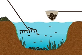 How to winterize a garden pond