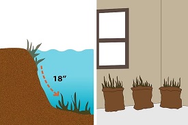 How to winterize a garden pond