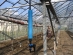 Aytos - micro spay irrigation in greenhouse