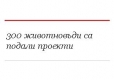 животновъди