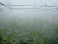 Водна мъгла за влажност