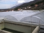 Polyethylene for greenhouses SUNSAVER CLEAR 200 mic /anti-drop/