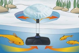 How to winterize a garden pond