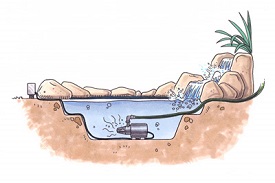 How to winterize a garden pond