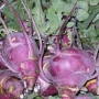 Kohlrabi