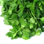 Parsley | Petroselinum hortense