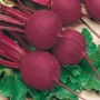 Beet