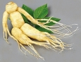 Ginseng