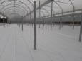 View from the inside of the greenhouses