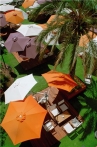 Paraflex umbrellas with fading warranty. Paraflex umbrellas with fading warranty.