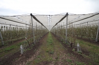 Protective system against hail, frost and rain