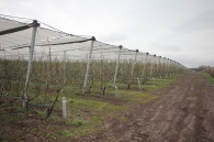 Protective system against hail, frost and rain