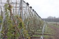 Protective system against hail, frost and rain