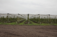 Protective system against hail, frost and rain