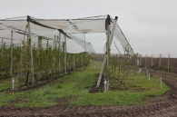 Protective system against hail, frost and rain