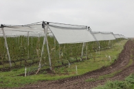 Protective system against hail, frost and rain