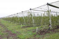 Protective system against hail, frost and rain