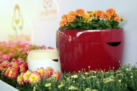 Calimera Flower pot A2 50cm