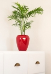 Calimera Flower pot A2 50cm