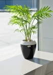 Calimera Flower pot A2 