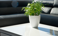 Calimera Flower pot A2 