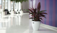 Calimera Flower pot A2 