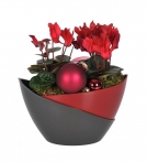 Doppio self-watering Pot Doppio self-watering Pot