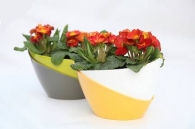 Doppio self-watering Pot Doppio self-watering Pot