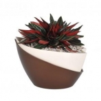 Two-color self-watering pot Two-color self-watering pot