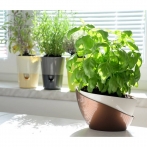 Doppio Pots are suitable for growing herbs Doppio Pots are suitable for growing herbs