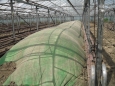 Фолио за пропарване и обеззаразяване VAPOREX