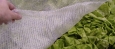 Arricover Antifrost Cover